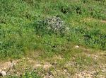 Photo 346229219
