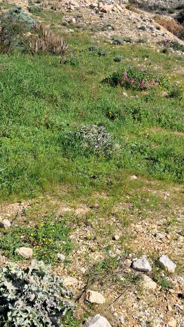 Photo 346229219