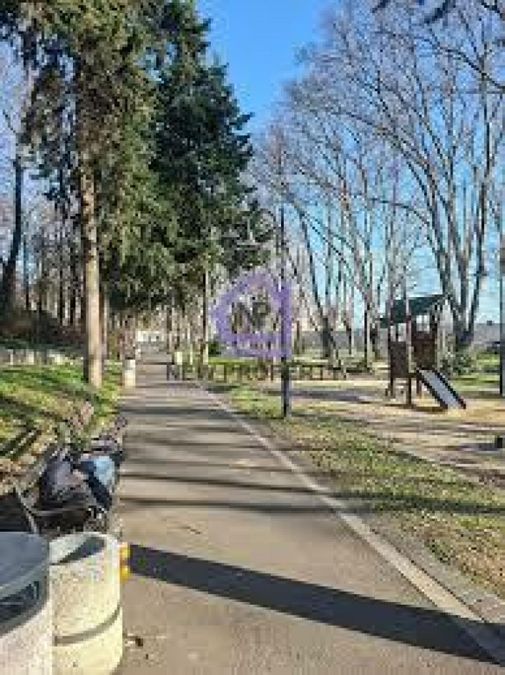 Снимка 346319729