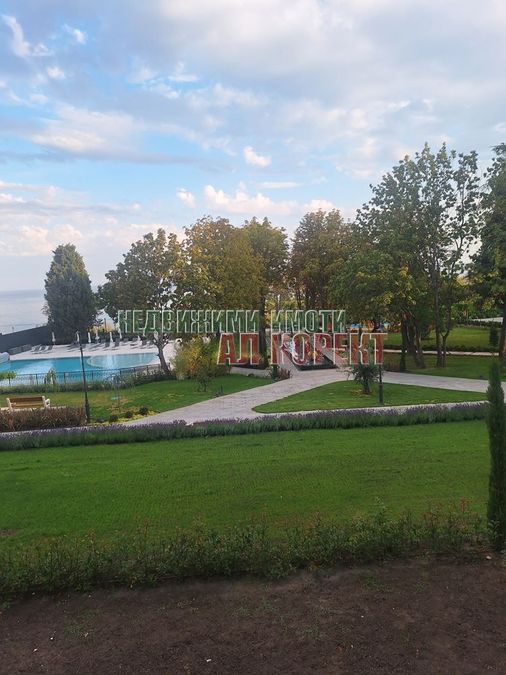 Снимка 346398809