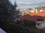 Photo 346884113