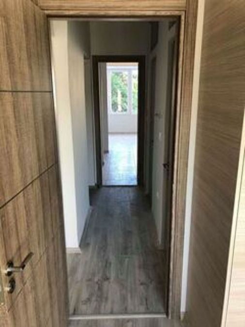 Photo 347437526