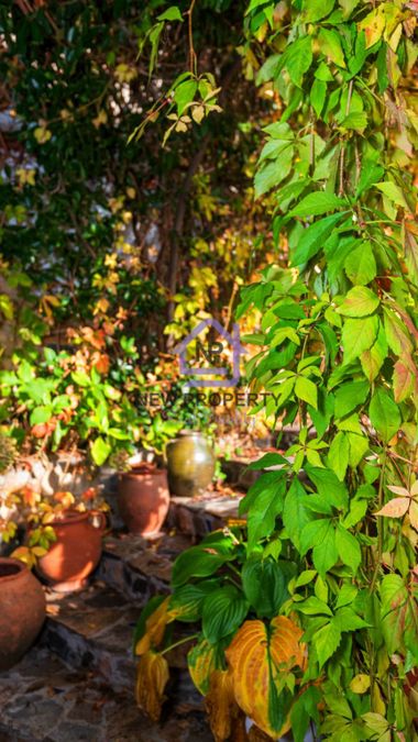 Снимка 347509853