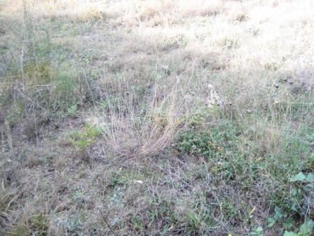 Photo 347609627