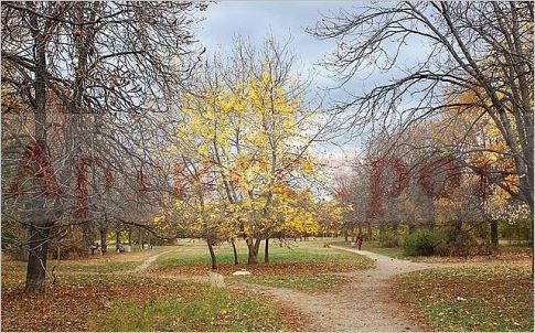 Снимка 347803097