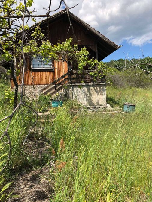 Снимка 347868263