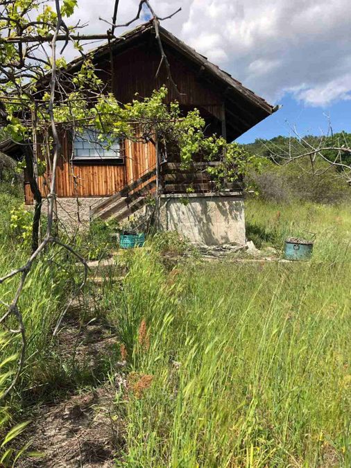 Снимка 347868419