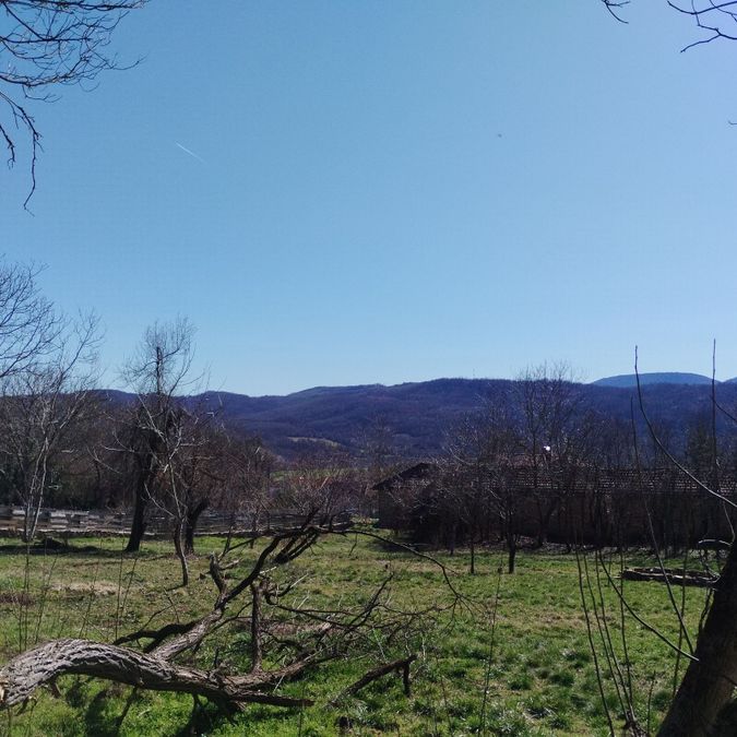 Снимка 347872925