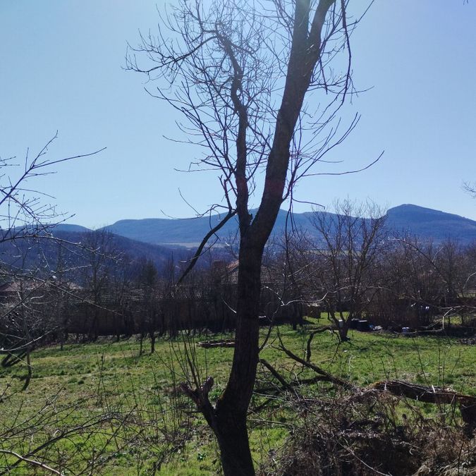 Снимка 347873531