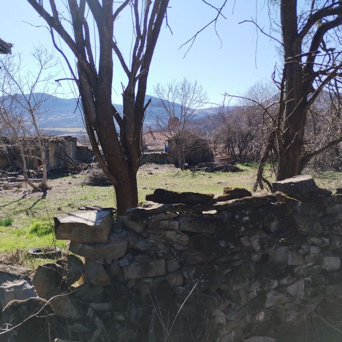 Снимка 347873540