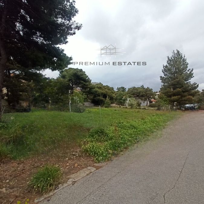 صورة فوتوغرافية 348495143