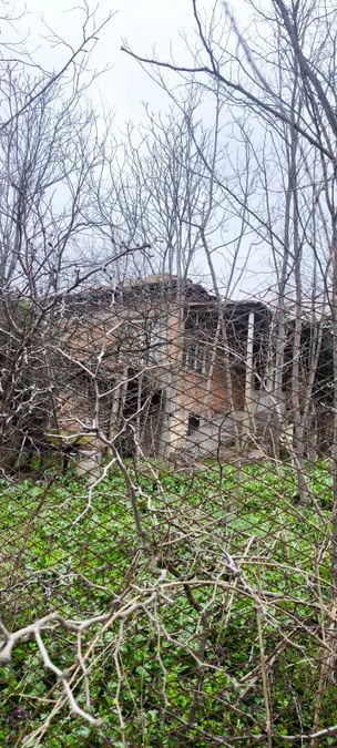 Снимка 348620852