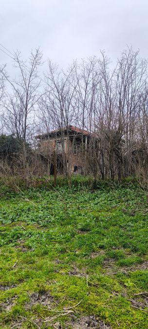 Снимка 348620855