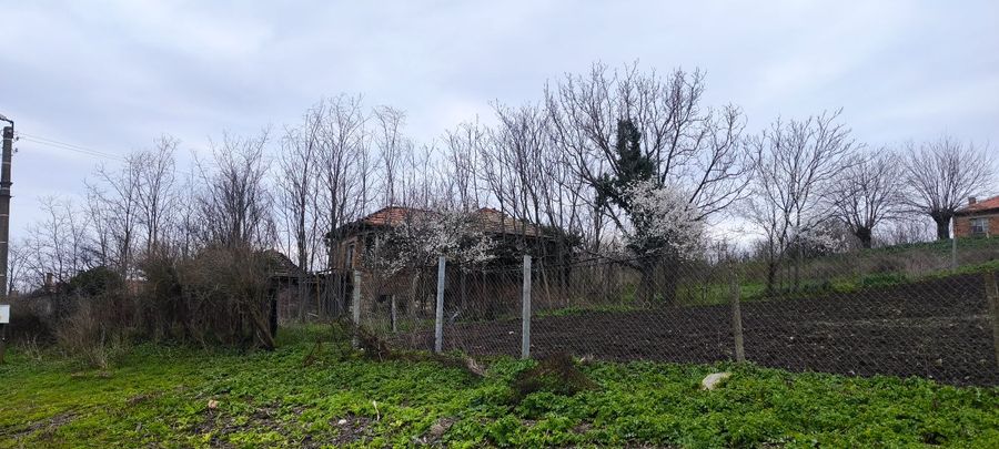 Снимка 348620858