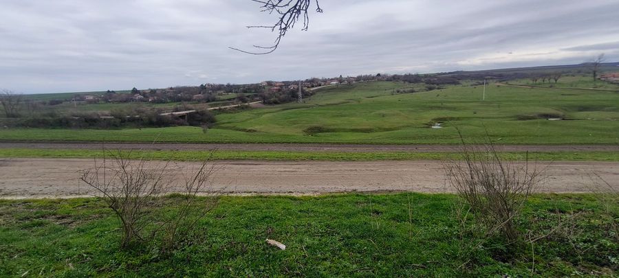 Снимка 348620876