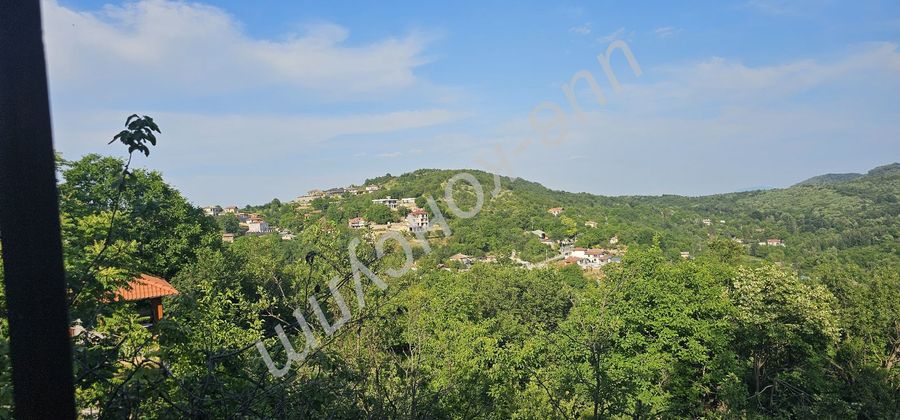 Снимка 348688628