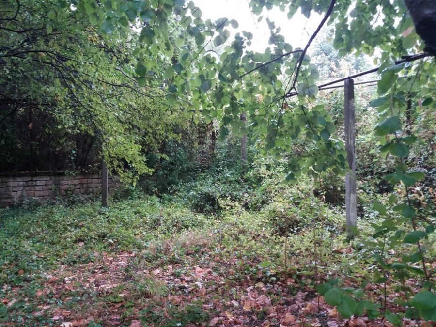 Снимка 349336514