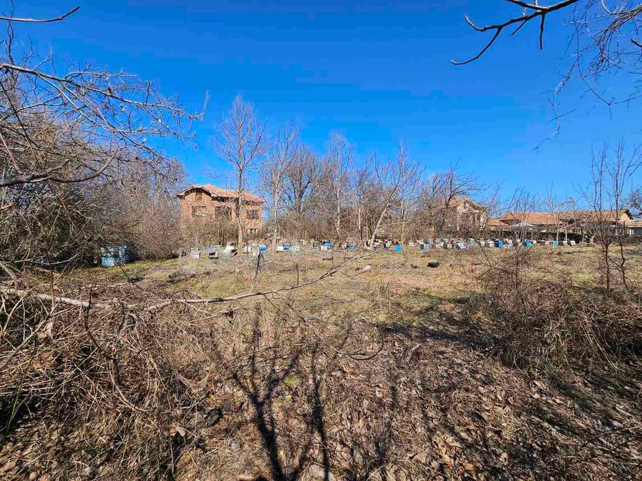 Снимка 349339085