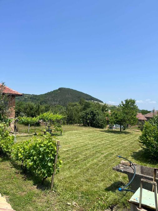 Снимка 349426289