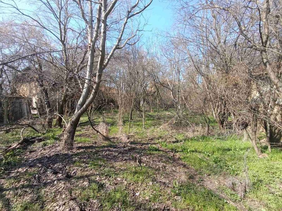 Снимка 349430978