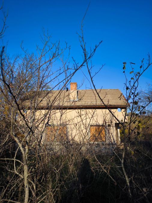 Снимка 350567915