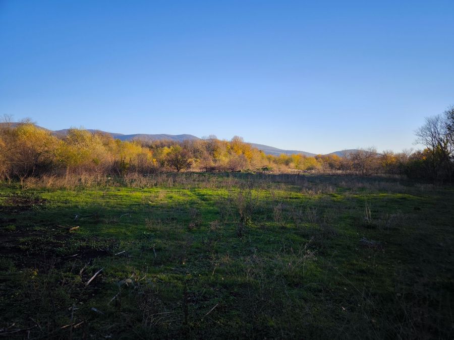 Снимка 350567924