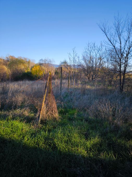 Снимка 350567927