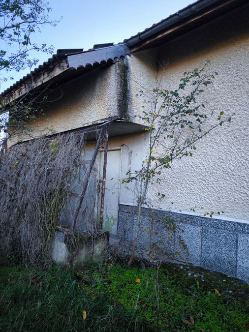 Снимка 350567942