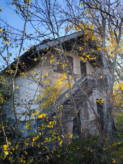 Снимка 350567951