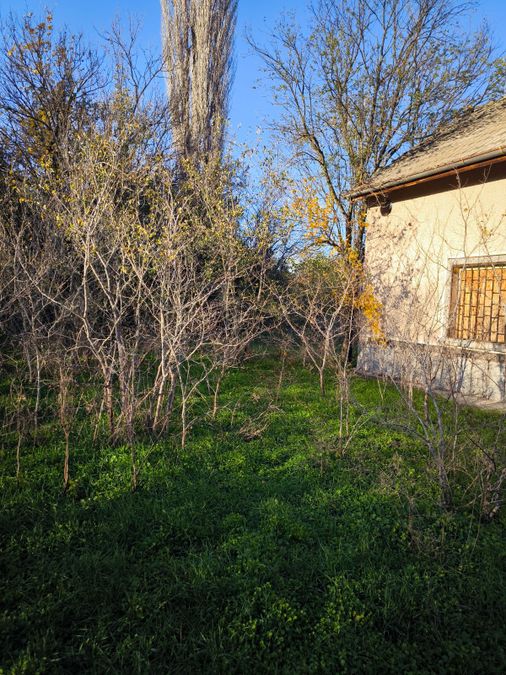 Снимка 350567981