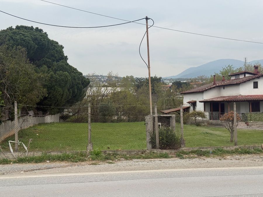 Photo 350750627