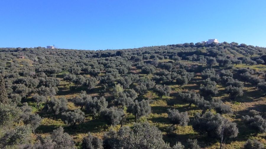 Photo 350960345