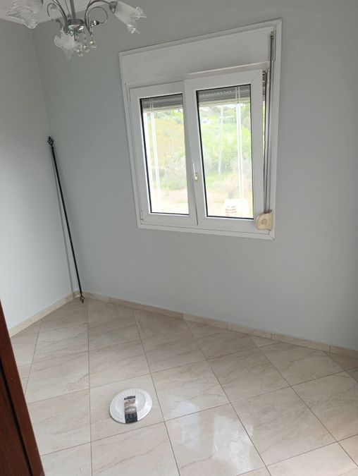 Photo 351157871