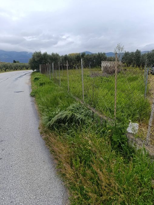 Photo 351205979