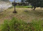 Photo 351205991