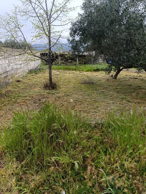 Photo 351205991