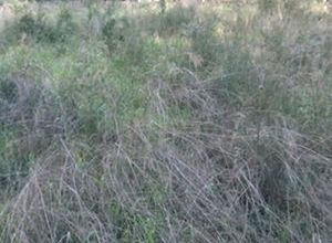 Land Plot, Kato Kifisia