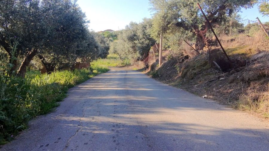Photo 351750740
