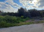 Photo 351791945