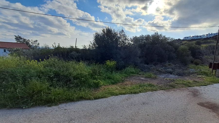 Photo 351791945