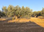 Photo 351949973