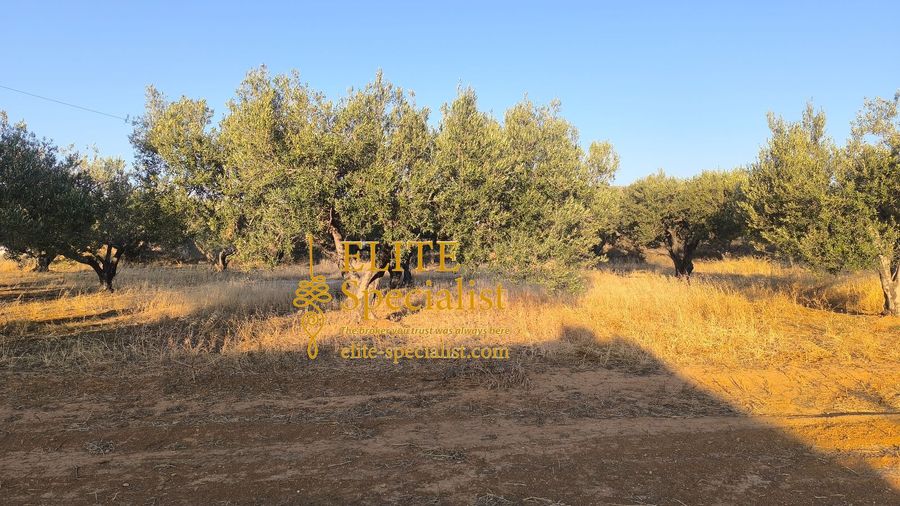 Photo 351949973