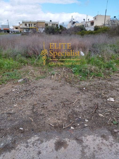 Photo 351950783