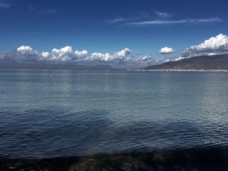 Photo 351975683