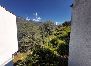 Photo 351975698