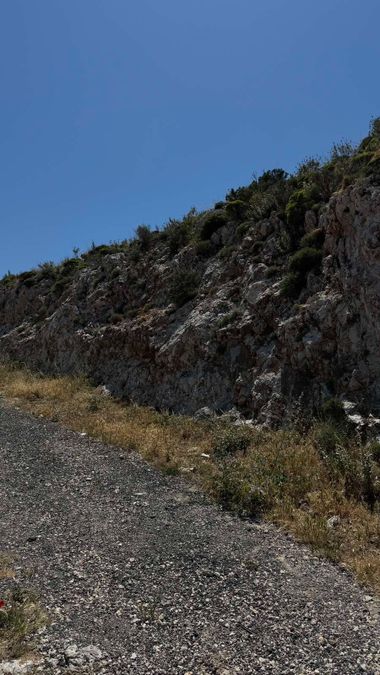 Photo 352031660