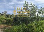 Photo 352055594