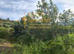 Photo 352055597