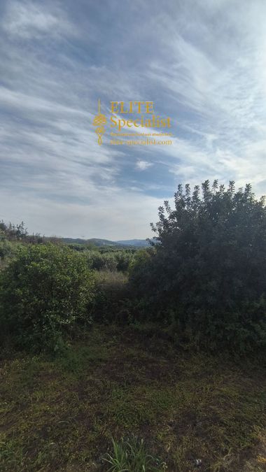 Photo 352055600