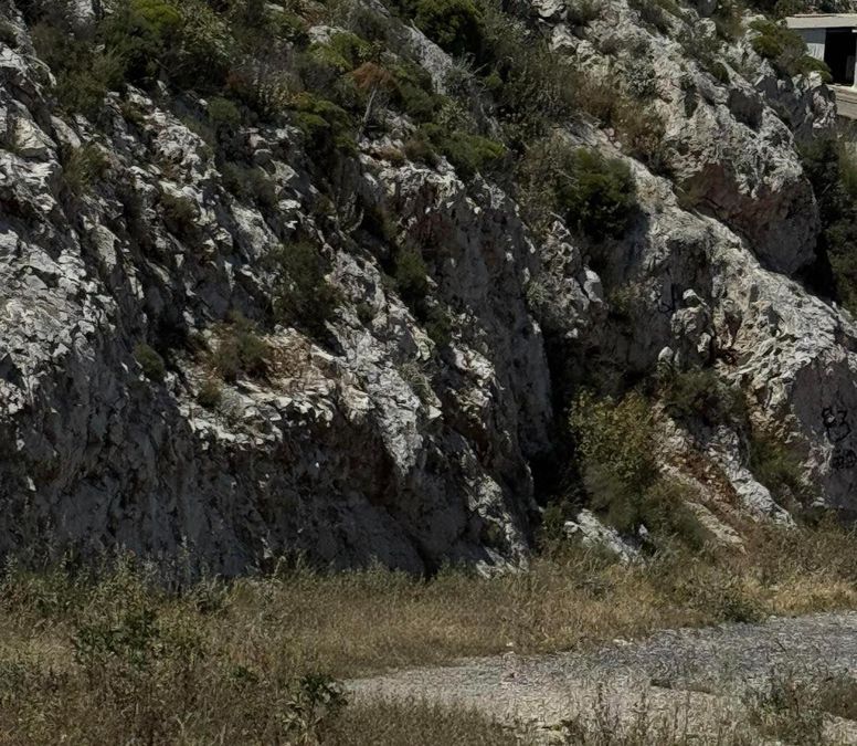 Photo 352063439